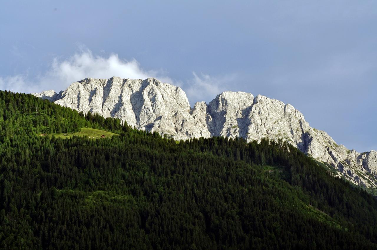 Hotel Ferienpark Waldpension Putz Berg im Drautal Exterior foto